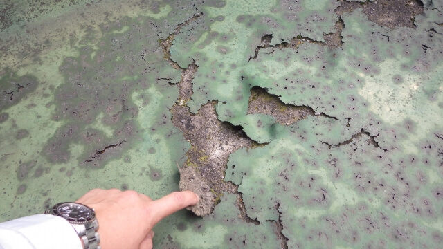 ベランダの防水加工のひび割れや剥がれ